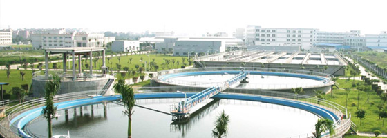 蓝鲸体育直播在线观看